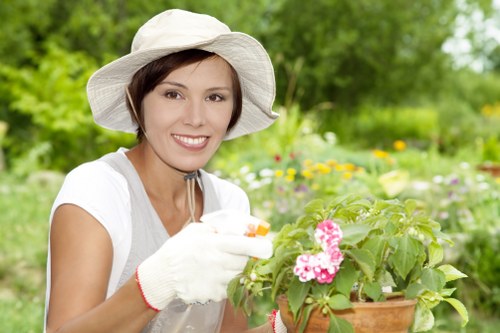 Sustainable landscaping practices with native plants in Deptford